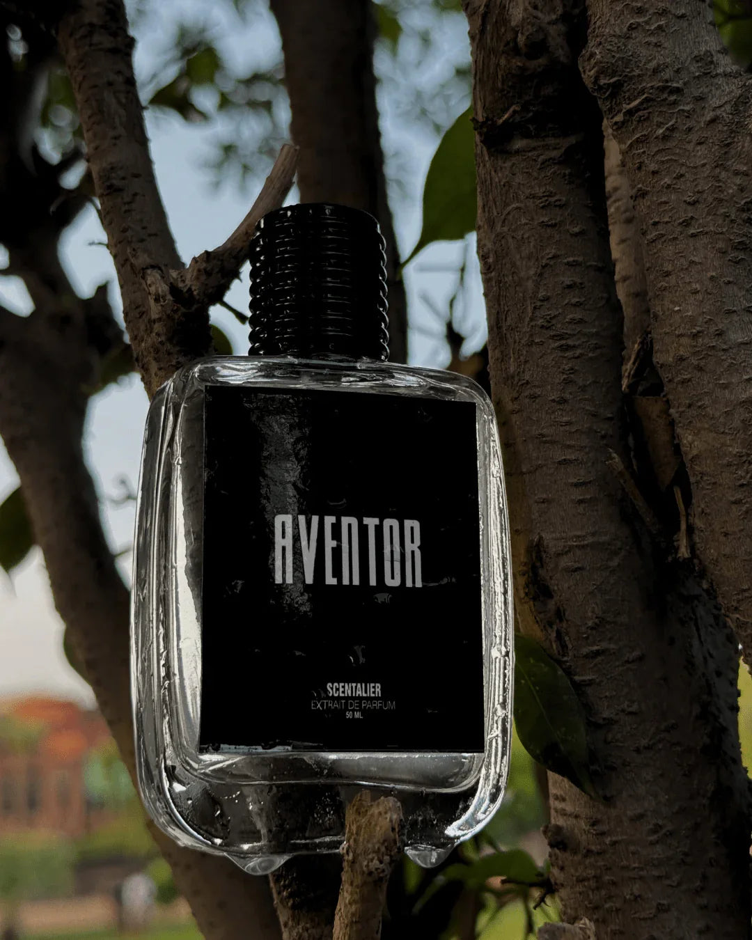Aventor – Inspired by Creed Aventus